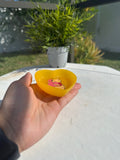 Winnie the Pooh Mini ashtray image 2
